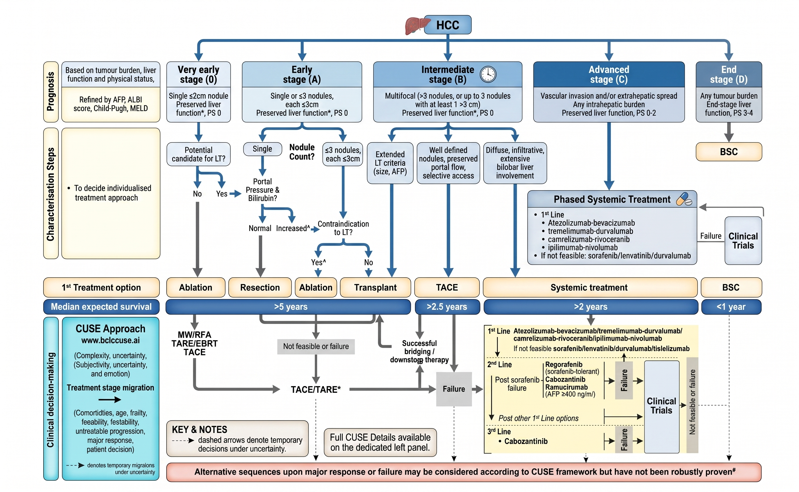 BCLC 2026 staging and treatment algorithm for hepatocellular carcinoma — BCLC 0 and A for curative therapies, BCLC B for TACE, BCLC C for systemic therapy, BCLC D for best supportive care